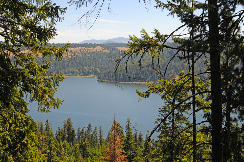 Where Huckleberries Grow Wild & Families Roam Free
